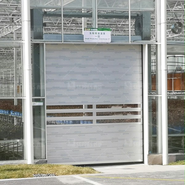揚州好色先生污视频下载 揚州好色先生污视频下载