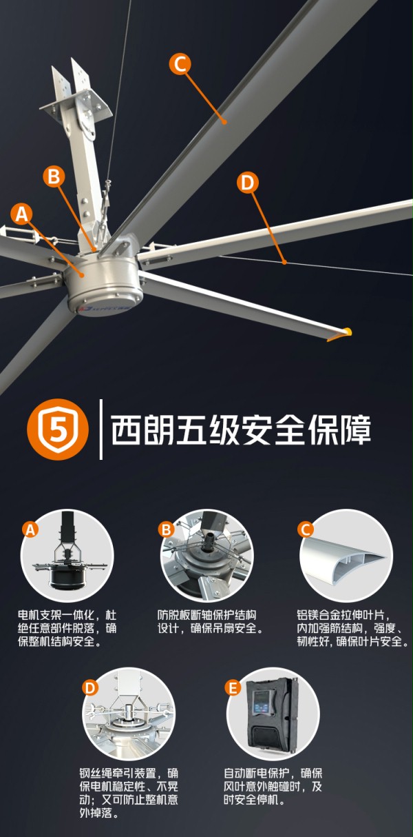 五級安全保障